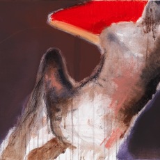 ALBERTO ZECCHINI | SENZA TITOLO