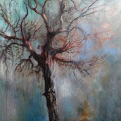 ANNA CICCOTTI | SOLO