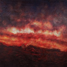 ANNA CICCOTTI | SQUARCIO
