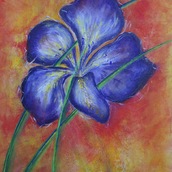 Anna Lisa Demi | iris
