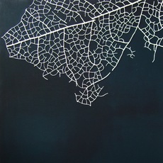 ANNALISA DI MEO | trama 1