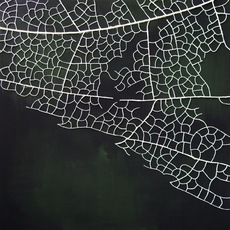 ANNALISA DI MEO | trama 2