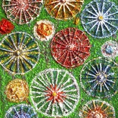 Antonio Rossi | Fiori impossibili