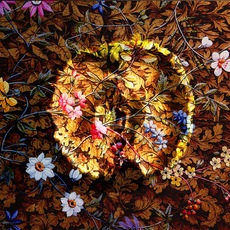 arlyna cavo | natura morta