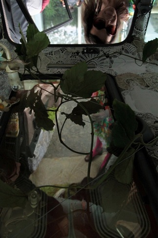 Caterina Viziano | su per giù