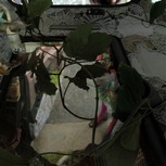 Caterina Viziano | su per giù