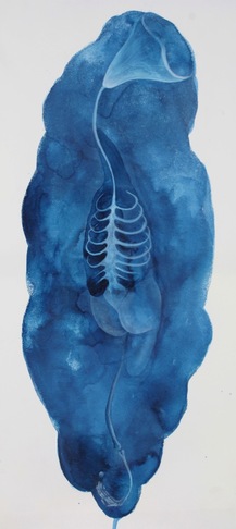 Christophe Rabuel | Univers Aquatique