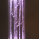 D.ARCH&LIGHT | Tree of light