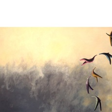 Daniele Misani | Senza titolo della serie 