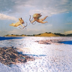Daria Faggi | Spiaggia