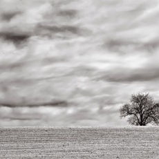 Davide D'Angelo | Solitudine invernale