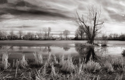 Davide D\\\'Angelo | Disgelo sul lago