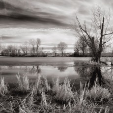 Davide D'Angelo | Disgelo sul lago