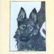 Diletta Lodola | Lara