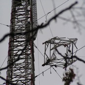 Emilia De Giuli | Dismissione RAI