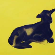 FEDERICO FIORINI | Animalessere IV