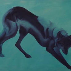 FEDERICO FIORINI | Animalessere II