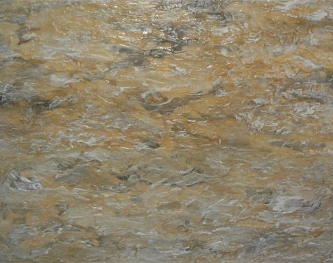 Francesca Faggi | Rotten Pond