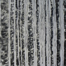 Francesca Faggi | White Poplars