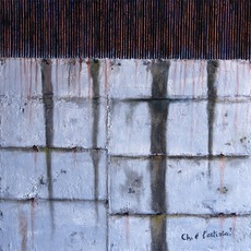 FRANCESCO CIAVARELLA | muri
