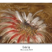 FURIO INNOCENTI | A ENOLA GAJ