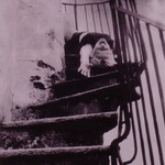Gabriela Berest | Hybris I -