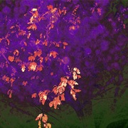 Gabriele Perissinotto | stagioni interiori