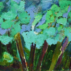 Gabriella Cavalca | Alberi