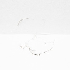 Gianluca Maver | web_2010#3