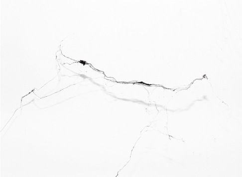 Gianluca Maver | web_2010#9