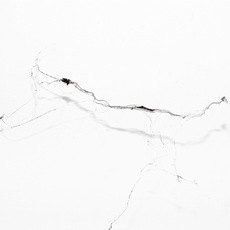 Gianluca Maver | web_2010#9