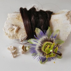 Giulia Magagnini | quello che resta