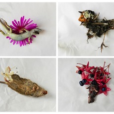 Giulia Magagnini | passaggio 1,2,3