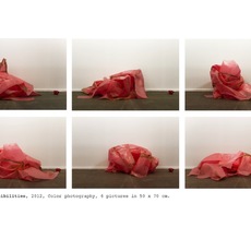 IRMA LAVIADA | Search for possibilities