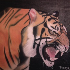 Juan Carlos Pereyra | tigre