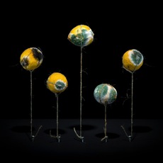 Klaus Pichler | Lemons