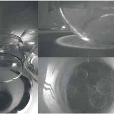 Laura Della Valle | Humanitas