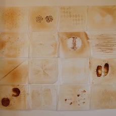 Lisa Batacchi | While waiting for something to change I'm having fun