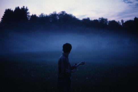 Lisandre St-cyr Lamothe | Transplanter