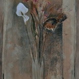 Marco Dolfi | Fiori