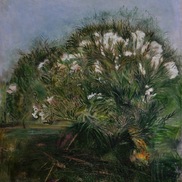 Marco Dolfi | Pianta nel parco