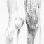 Marianna Gasperini | Gambe