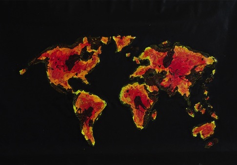 Marianna Merler | environmental disaster