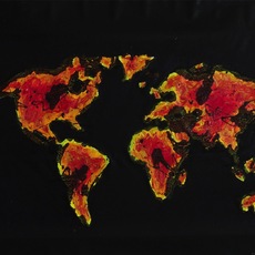 Marianna Merler | environmental disaster