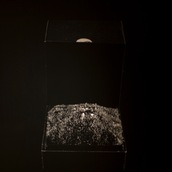 Martino Borgogni | La goccia che non ha fatto traboccare il vaso