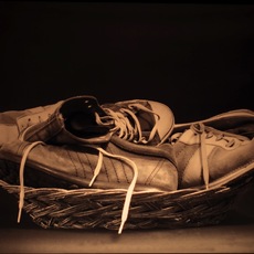 Martino Borgogni | Naturamorta