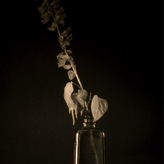 Martino Borgogni | Non c'è di chè