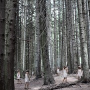 Valentina Ramacciotti | la strada persa