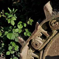 Nicolò Orsi Battaglini | Cava di Colle Reciso 1