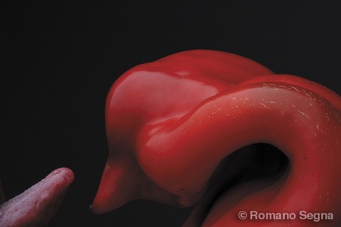 Romano Segna | Natura viva #12